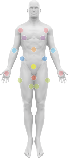 Male body map