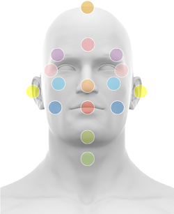 Male face map